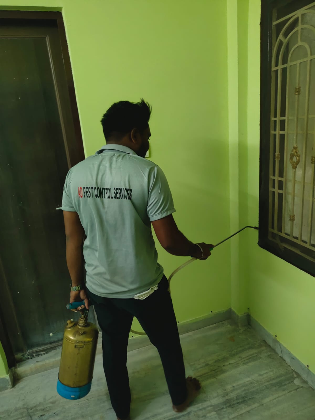 AD Pest Control Treatment 4